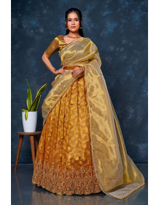 Woman wearing a traditional musterd lehenga choli with dupatta