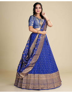 Blue Banarasi Pattu Lehenga