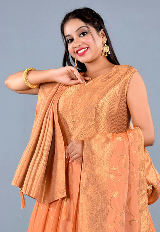 Orange Banarasi Readymade Gown