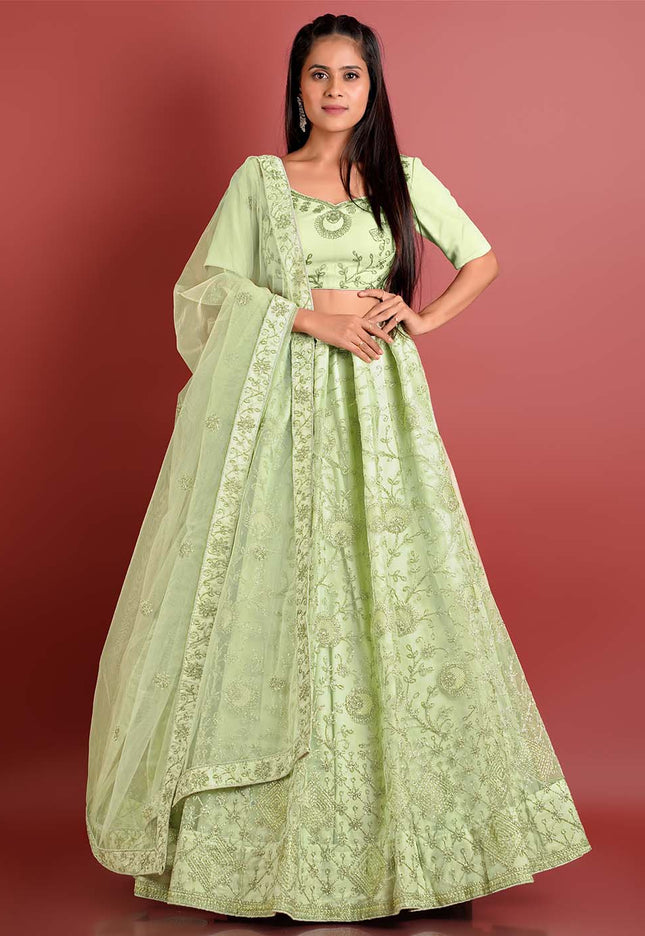 Pista Zari Work Net Lehenga