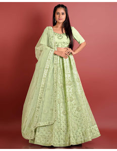 Pista Zari Work Net Lehenga