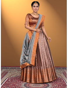 Woman wearing a traditional saree with a brown blouse and peach lehenga