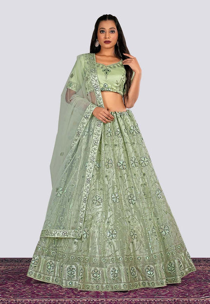 Pista Embroidery Net Lehenga