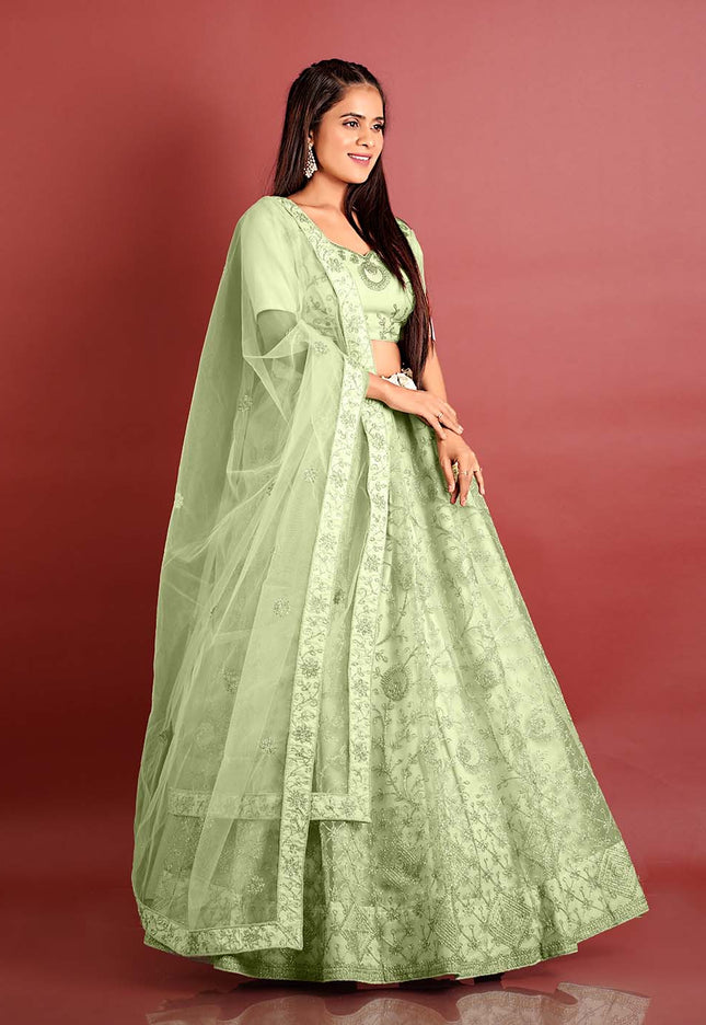 Pista Zari Work Net Lehenga
