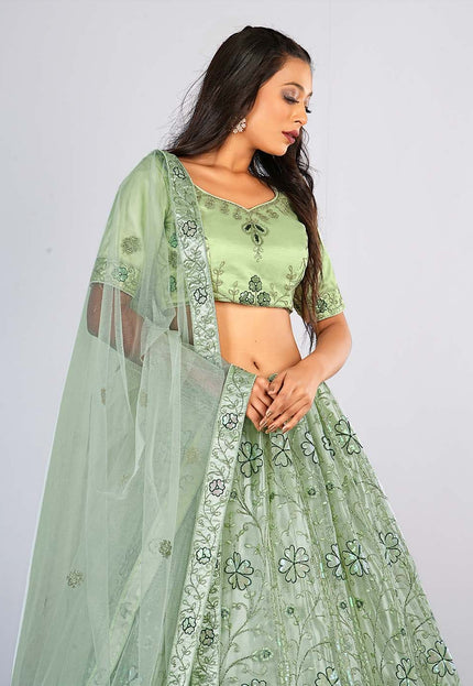 Pista Embroidery Net Lehenga