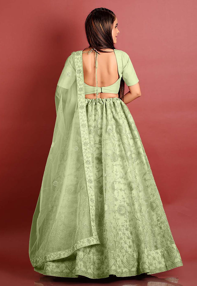 Pista Zari Work Net Lehenga