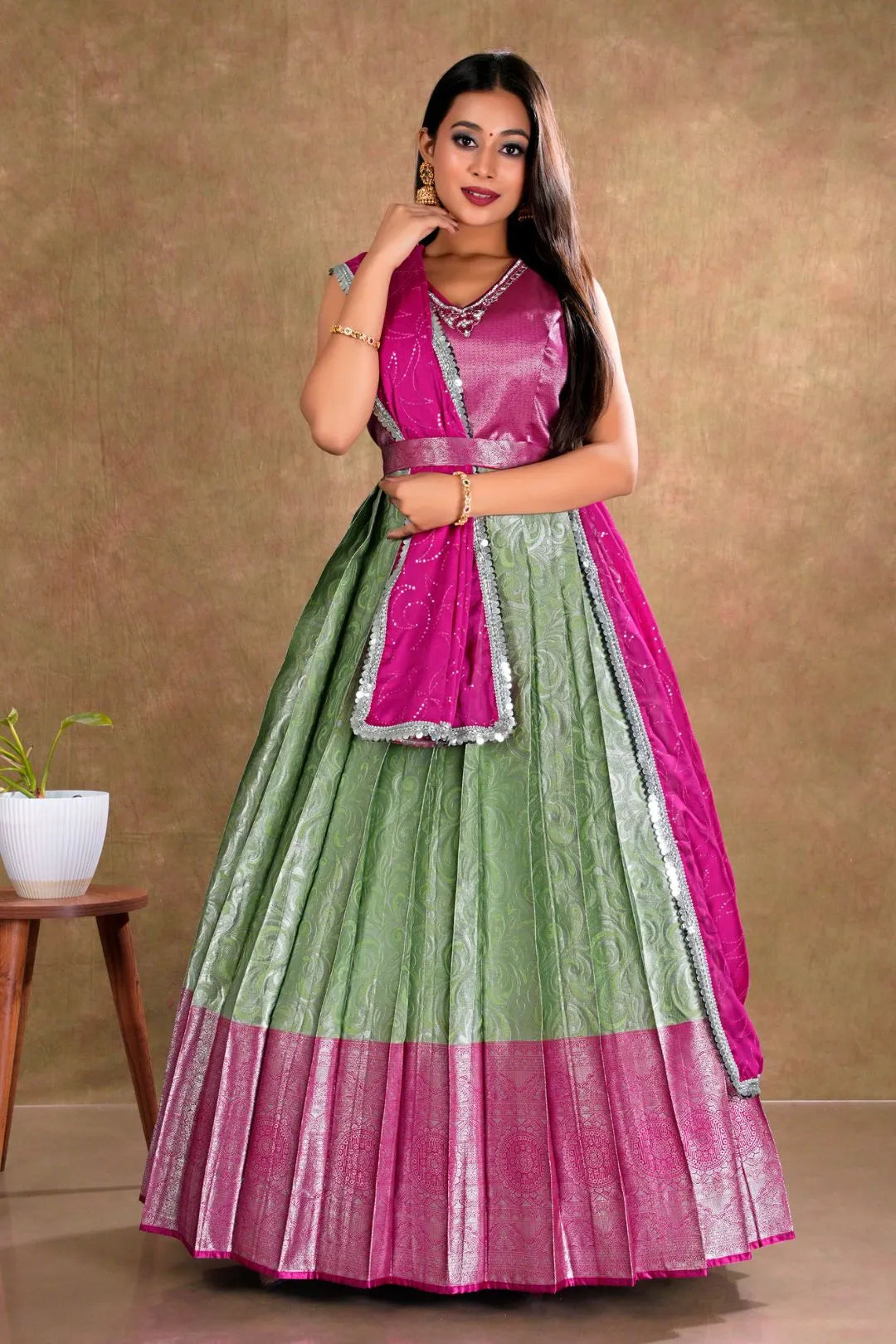 Pista Banarasi Long Dress with Zari work for Women