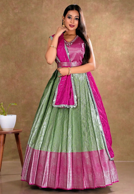 Pista Banarasi Long Dress with Zari work for Women