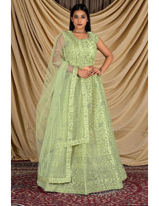 Pista Colour Net Crop Top Lehenga Choli