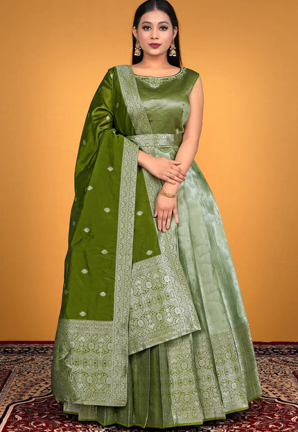 Pista Designer Banarasi Gown With Dupatta