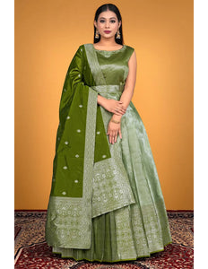 Pista Designer Banarasi Gown With Dupatta