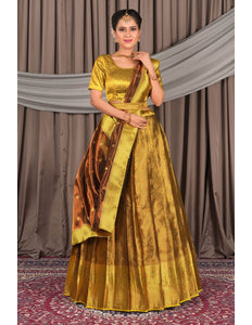 Woman wearing a traditional gold and brown lehenga choli