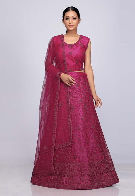 Rani Net Crop Top Lehenga