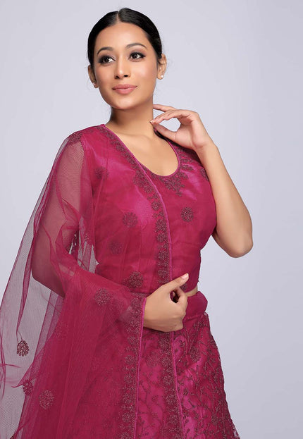 Rani Net Crop Top Lehenga