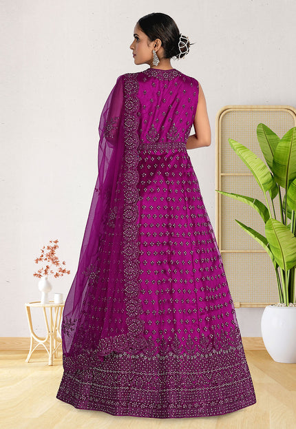 Rani Party Wear Net Gown