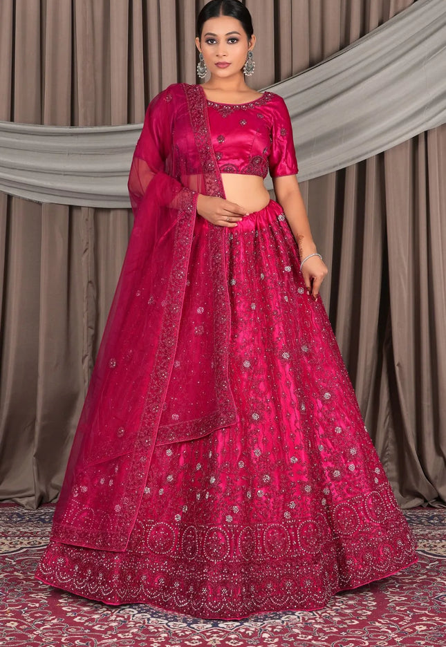 Rani Embroidery Work Net Lehenga Choli