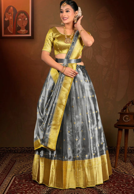 Gray Tissue Silk Zari Work Lehenga Choli For Women