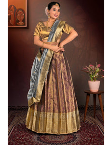 Woman in traditional attire lehenga choli with dupatta