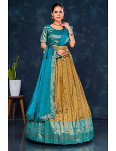 Chiku Banarasi Designer Half Saree For Women - Gajiwala