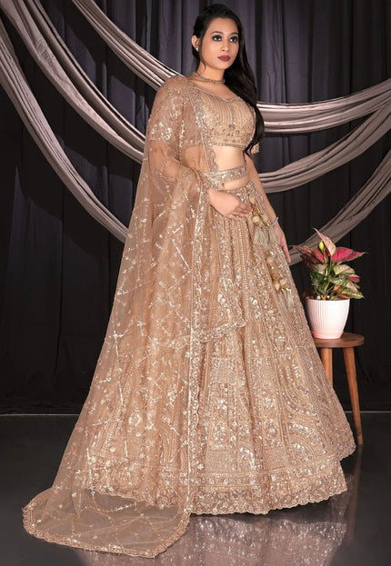 Chiku Party - wear Net Lehenga Choli For Wedding - Gajiwala