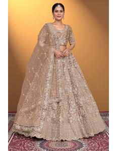 Chiku Velvet Lehenga Choli With Net Dupatta For Women - Gajiwala