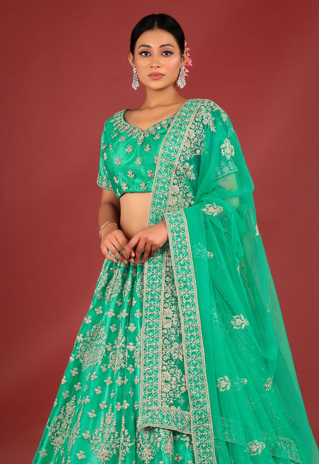 Rama Net Chaniya Choli